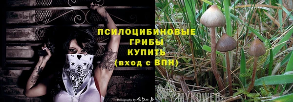 apvp Няндома